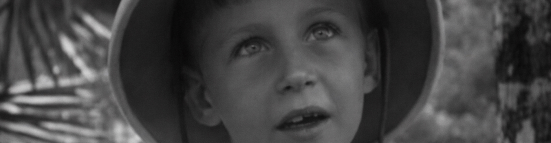 Dutch film in spotlight at Movies that Matter 2026