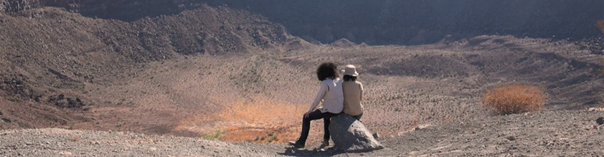 Dutch documentaries and XR creations premiering at IDFA